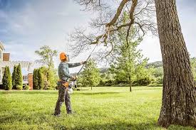 Best Tree Health Inspection  in Mbrian Park, CA